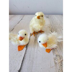 Vintage realistic chick chicken lifelike life-size